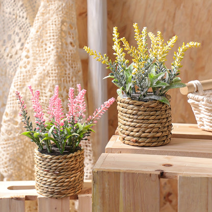 Blomkruka + Växt - 3 Olika Färger