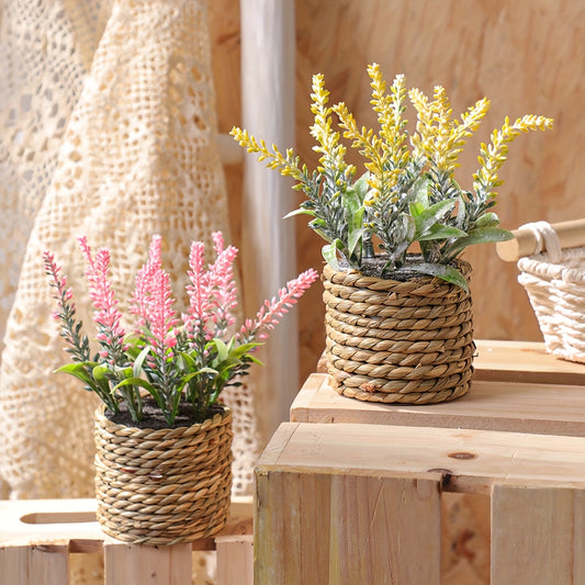 Blomkruka + Växt - 3 Olika Färger
