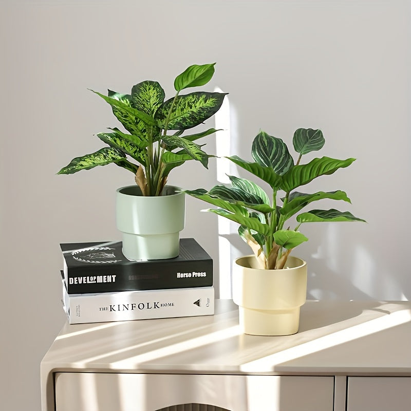 Bons Växt - 36cm - 4 Olika Sorter - CC Krukan