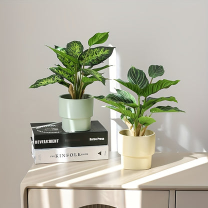 Bons Växt - 36cm - 4 Olika Sorter - CC Krukan