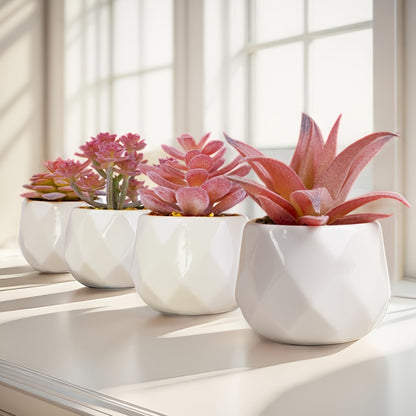 1pk-4st Suckulenter Blommor - 9cm - 5 Olika Färger - CC Krukan