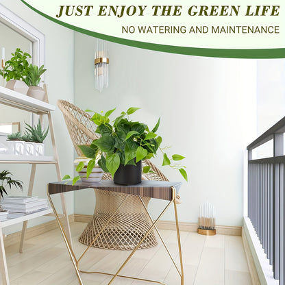 Blomkruka - 2 Olika Färger