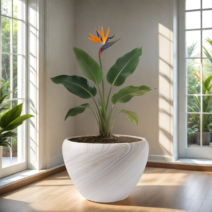 Blomkruka - 2 Olika Färger