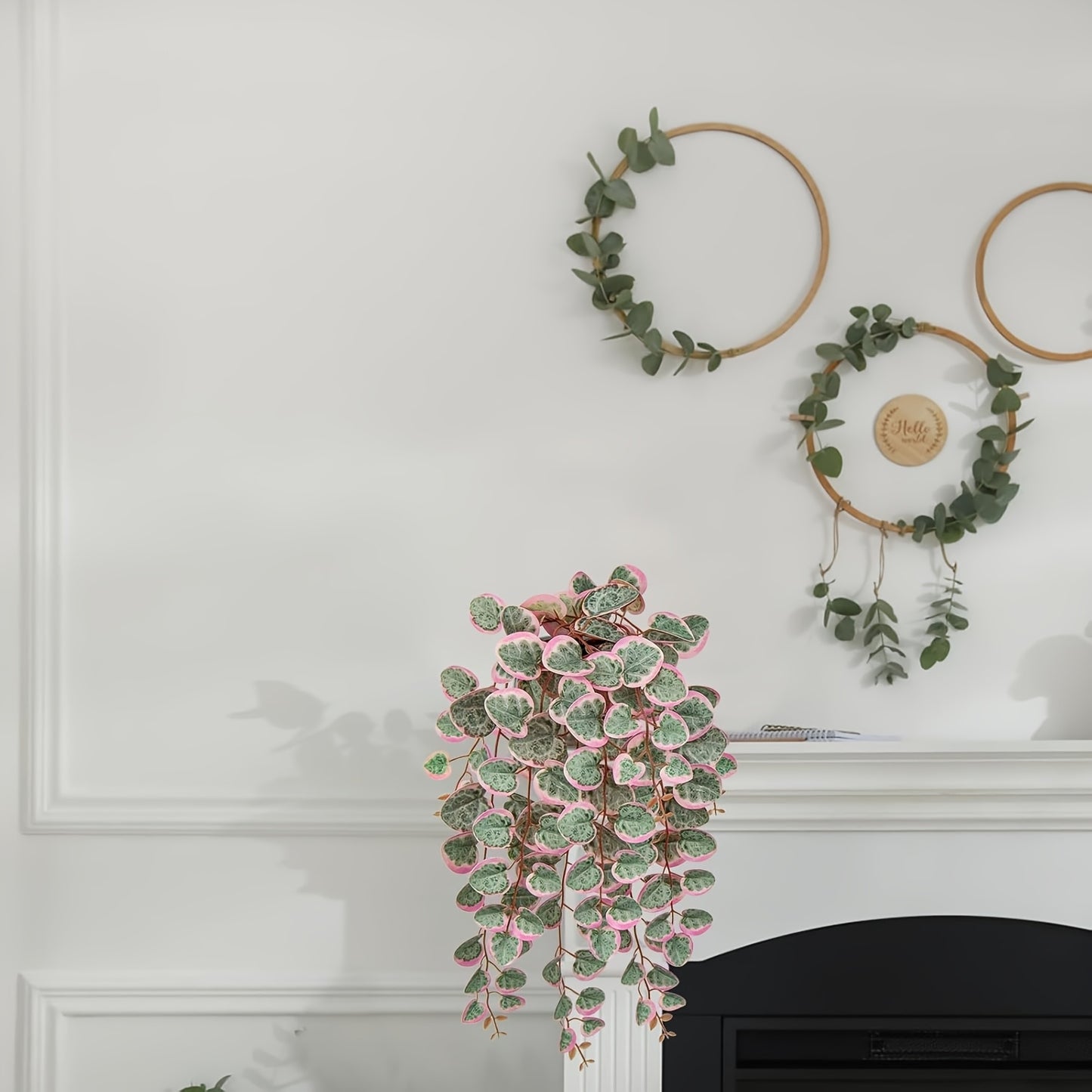 1pk-1/3/4st Ceropegia Woodii-Växt - 47cm - 2 Olika Färger - CC Krukan