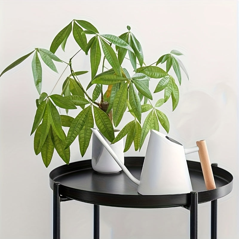 900ml Rostfri Vattenkanna - 14,5cm - CC Krukan