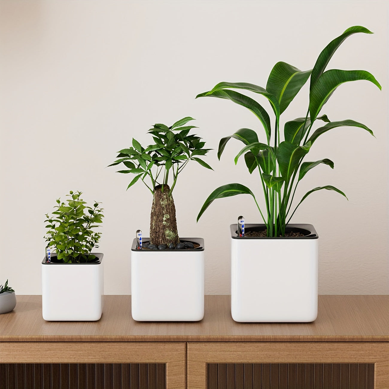 Fyrkantigt Självbevattning - 13,5/16,5/19,5cm - CC Krukan