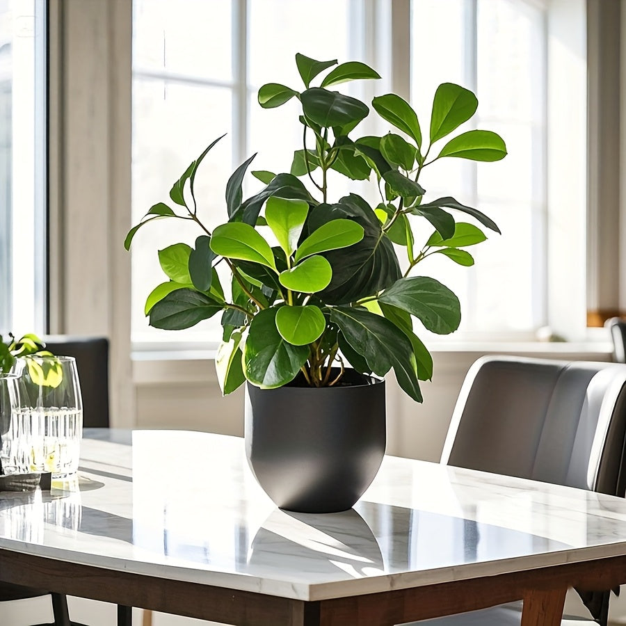 Grön Bladväxt - 33cm - CC Krukan