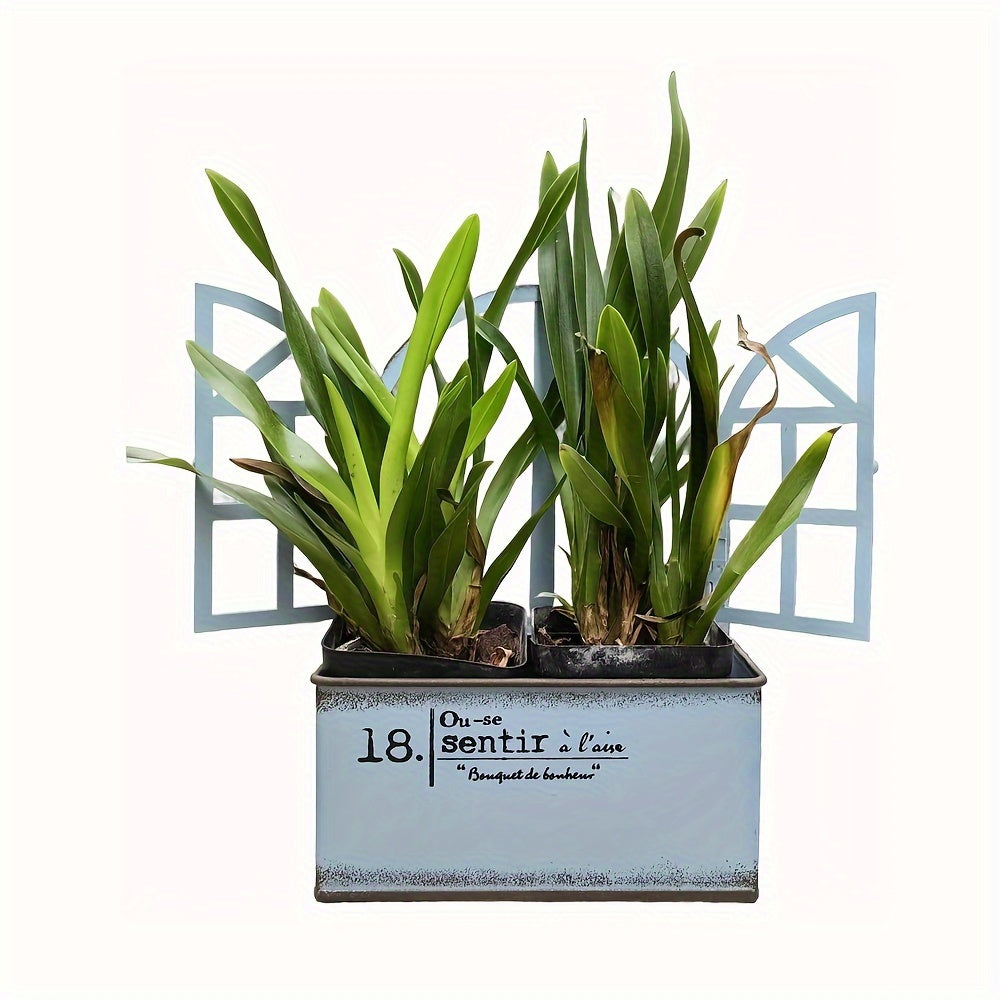 Blomkruka - 3 Olika Färger