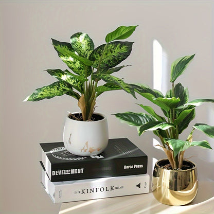 Bons Växt - 36cm - 4 Olika Sorter - CC Krukan