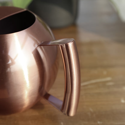 1l Rostfri Vattenkanna - 13cm - 2 Olika Färger - CC Krukan
