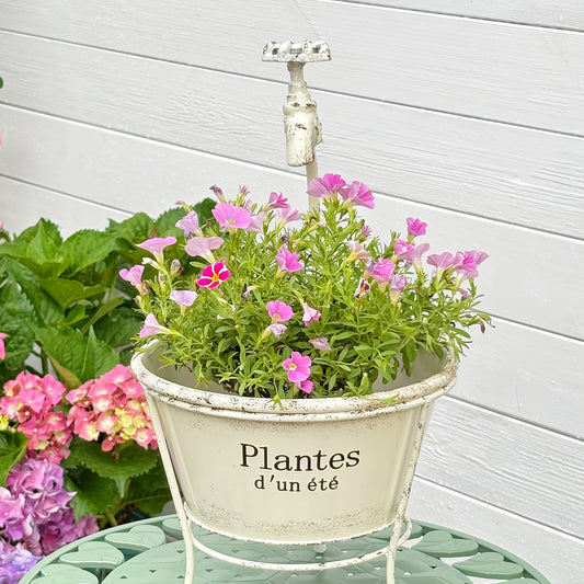 Blomkruka - 2 Olika Färger