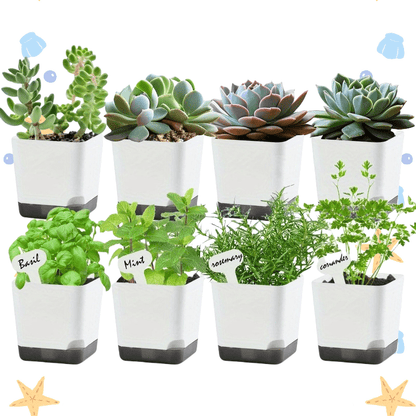 1pk-5st Blomkruka med bricka - 8cm - CC Krukan