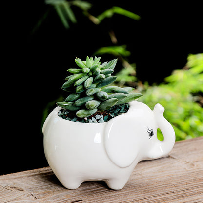 Elefant Blomkruka - 9,5cm - CC Krukan