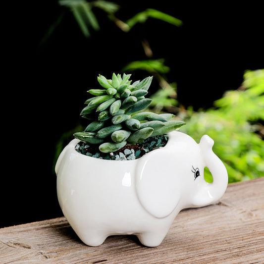 Elefant Blomkruka - 9,5cm - CC Krukan