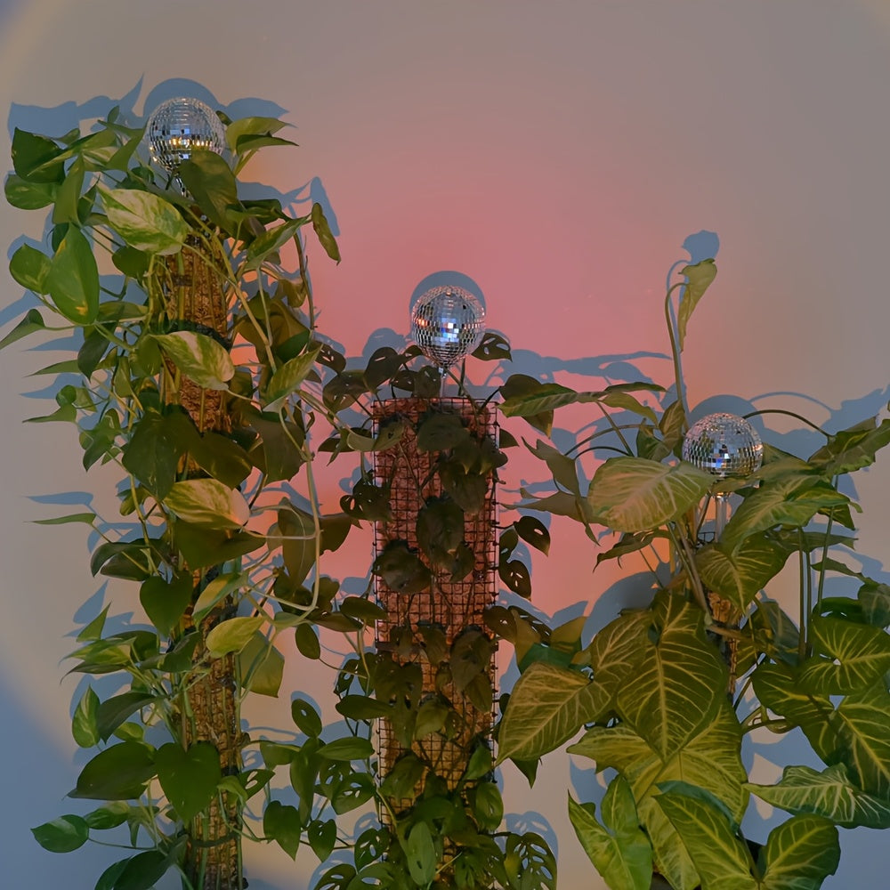 Discokula Självbevattnande - 28cm - CC Krukan