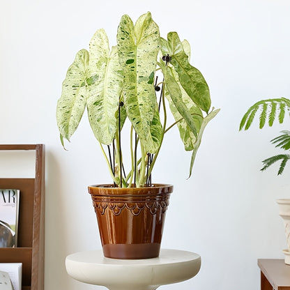 Blomkruka - 3 Olika Färger