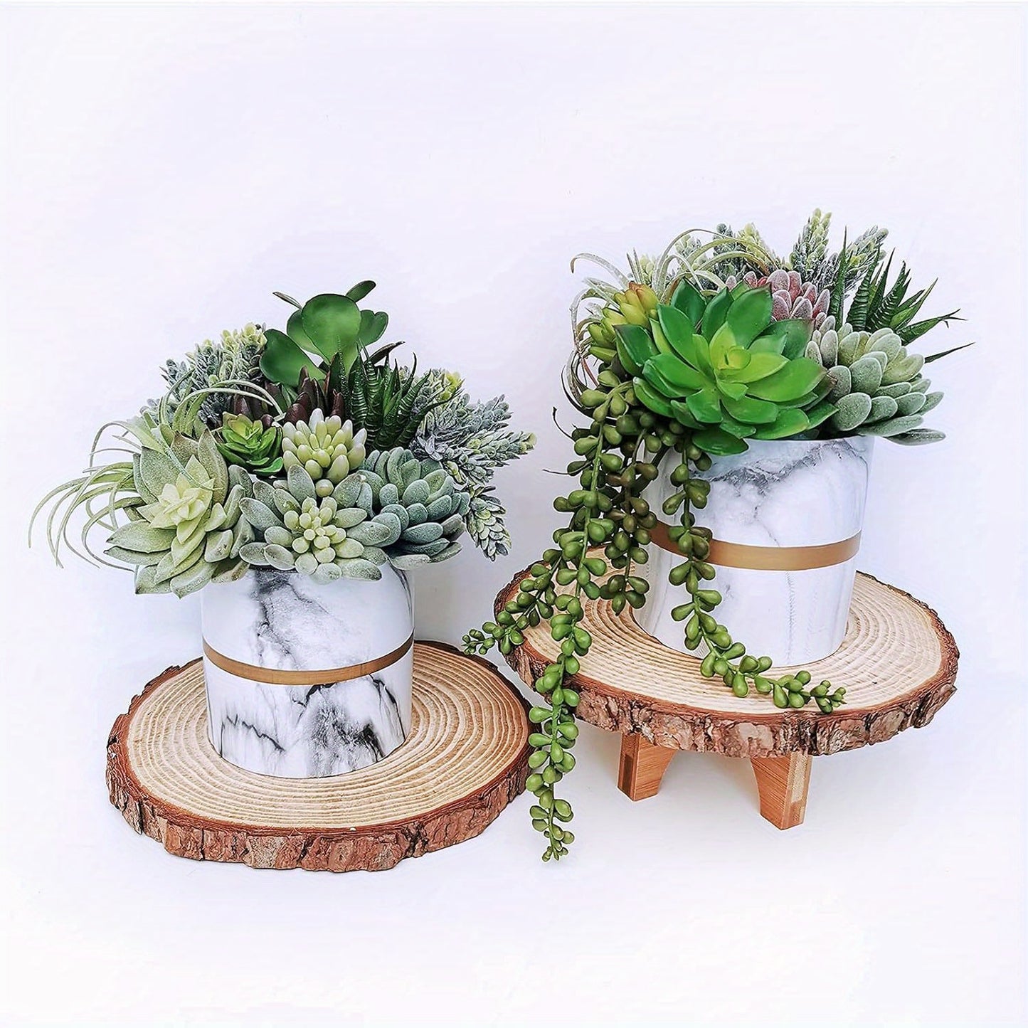 1pk-15st  Succulent Växt –  6-15cm Breda - CC Krukan