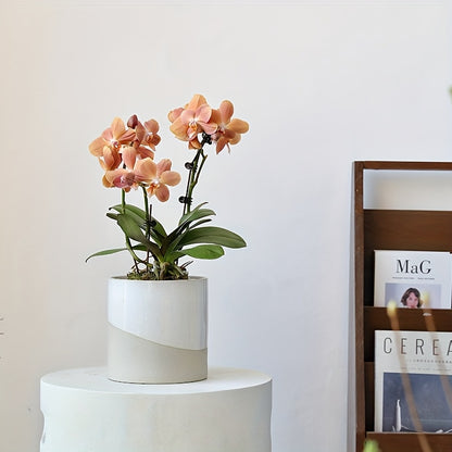 Blomkruka - 2 Olika Färger