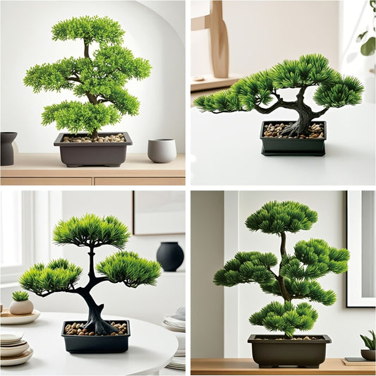 Tall Bonsai Träd - 18/25/33cm - 4 Olika Sorter - CC Krukan