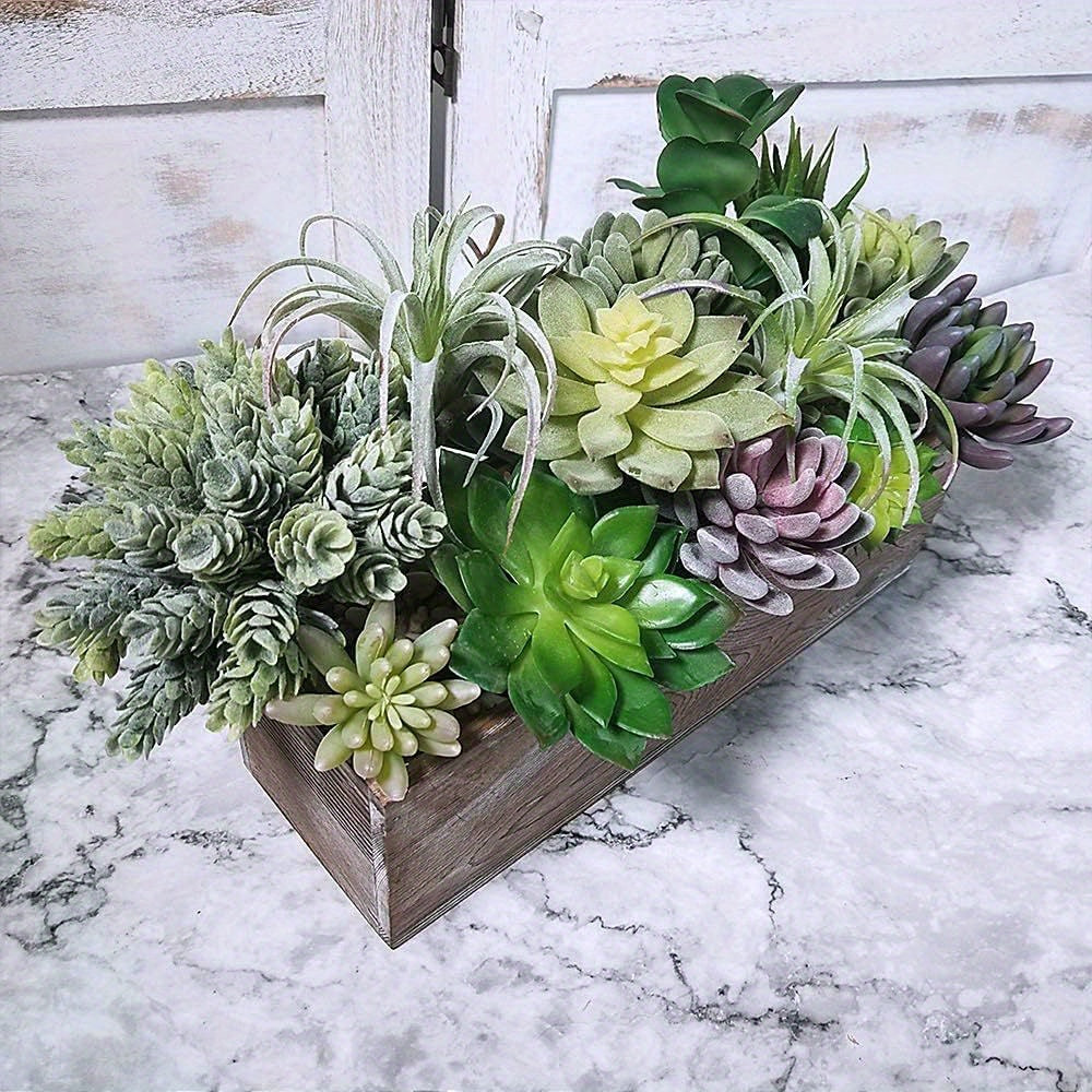 1pk-15st  Succulent Växt –  6-15cm Breda - CC Krukan