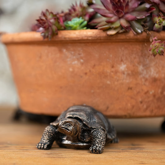 Blomkruks Fötter - Skölpadda, Valpar & Groda