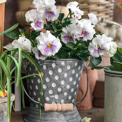 Blomkruka - 2 Olika Färger