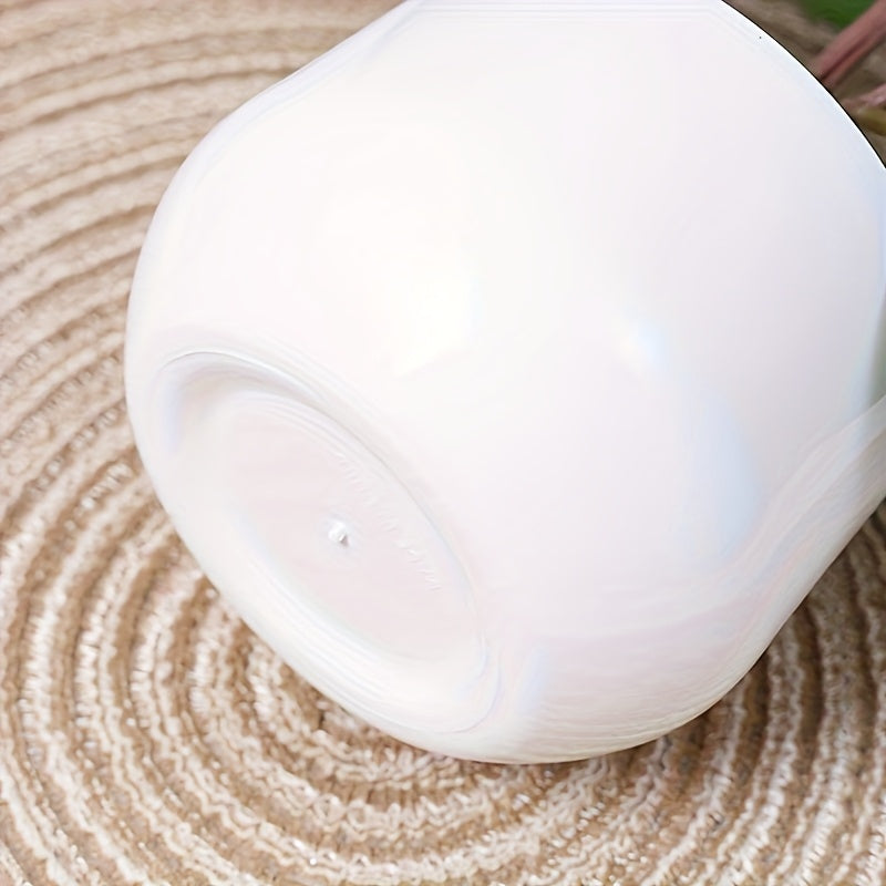 Banyanväxt - 30cm - 2st Olika Sorter - CC Krukan