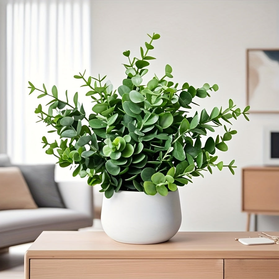 1/2st Eukalyptus Växt - 25cm - 2 Olika Sorter - CC Krukan