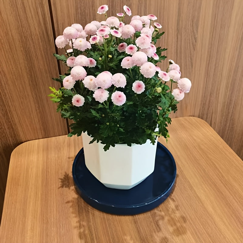 Keramisk Bricka - 13,5cm - CC Krukan