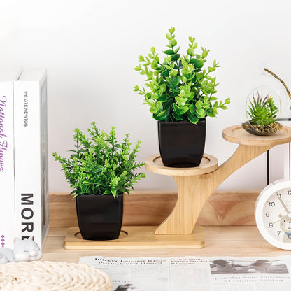 2st Blomkrukor + Växt