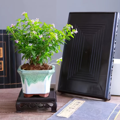 Kvadratiska Plastbrickor - 3 Modeller - CC Krukan