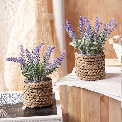 Blomkruka + Växt - 3 Olika Färger