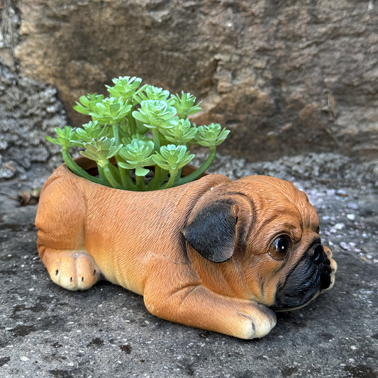 Hund Blomkruka - CC Krukan