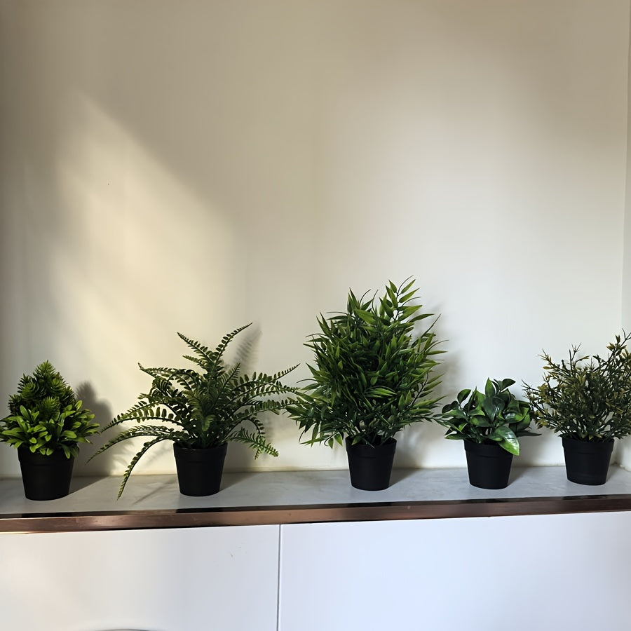 Eukalyptus Växt - 14/18/22/27/28cm - 5 Olika Sorter - CC Krukan