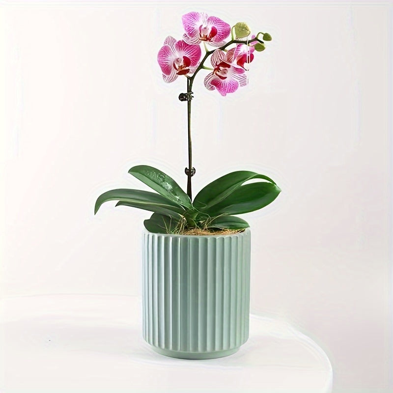 Blomkruka - 4 Olika Färger