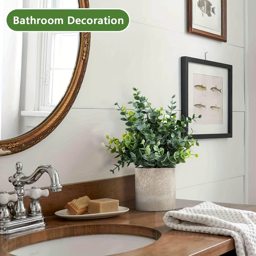 1pk-3st Eucalyptus Växter - 20/22/23cm - CC Krukan