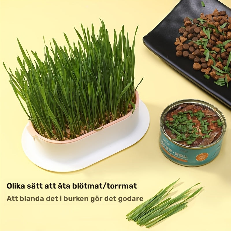 Blomkruka - 5 Olika Färger