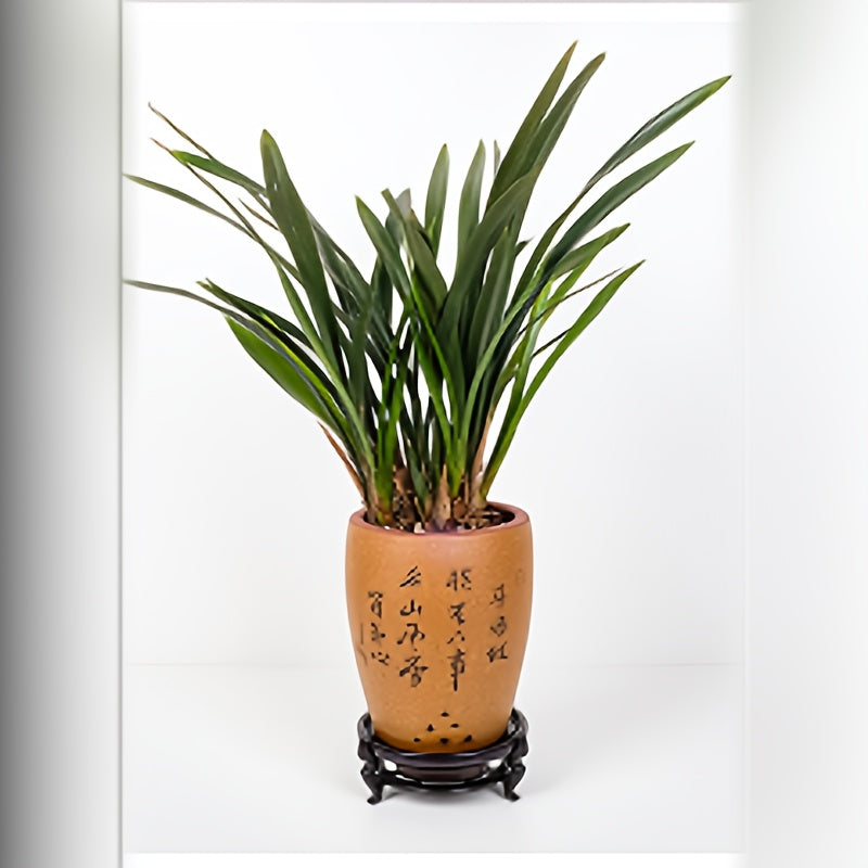 Plast Bricka - 11,5/13,5/16cm - 3 Modeller - CC Krukan