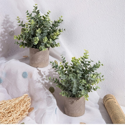 1pk-3st Eucalyptus Växter - 20/22/23cm - CC Krukan