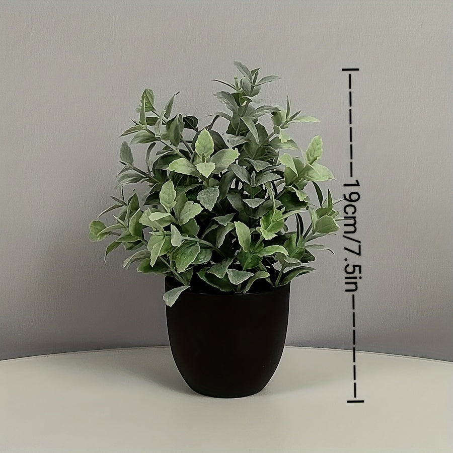 6st Blomkrukor + Blommor