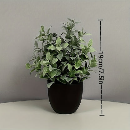 6st Blomkrukor + Blommor