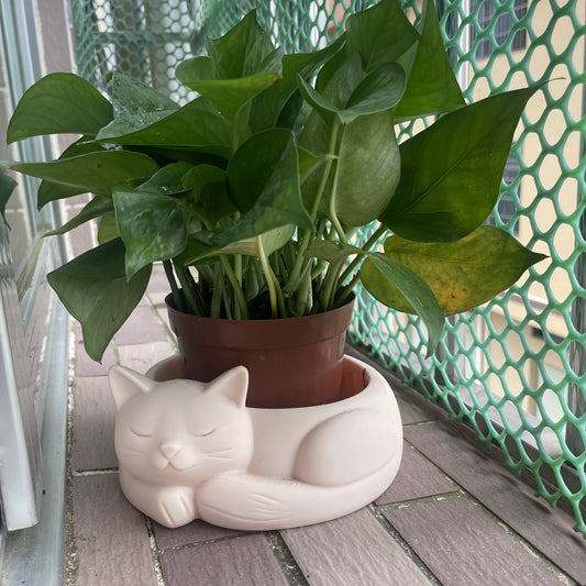 Katt Blomkruka - 7cm - CC Krukan